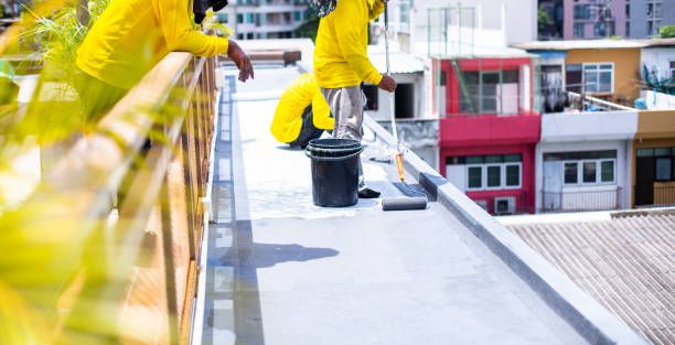 Нанасяне на течна гума - 33571 вида